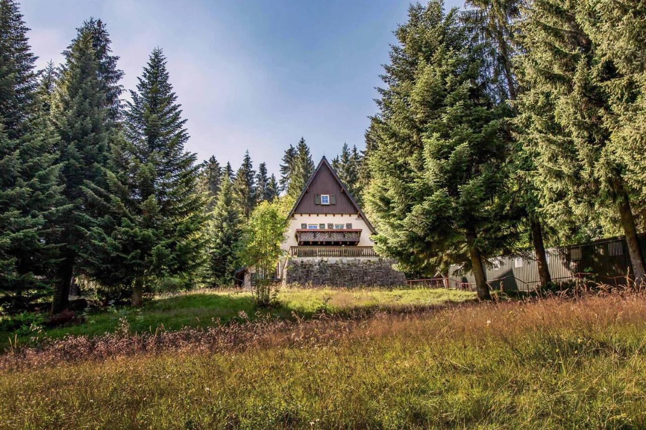 Berghaus Carlsfeld Villa Айбенщок Екстериор снимка