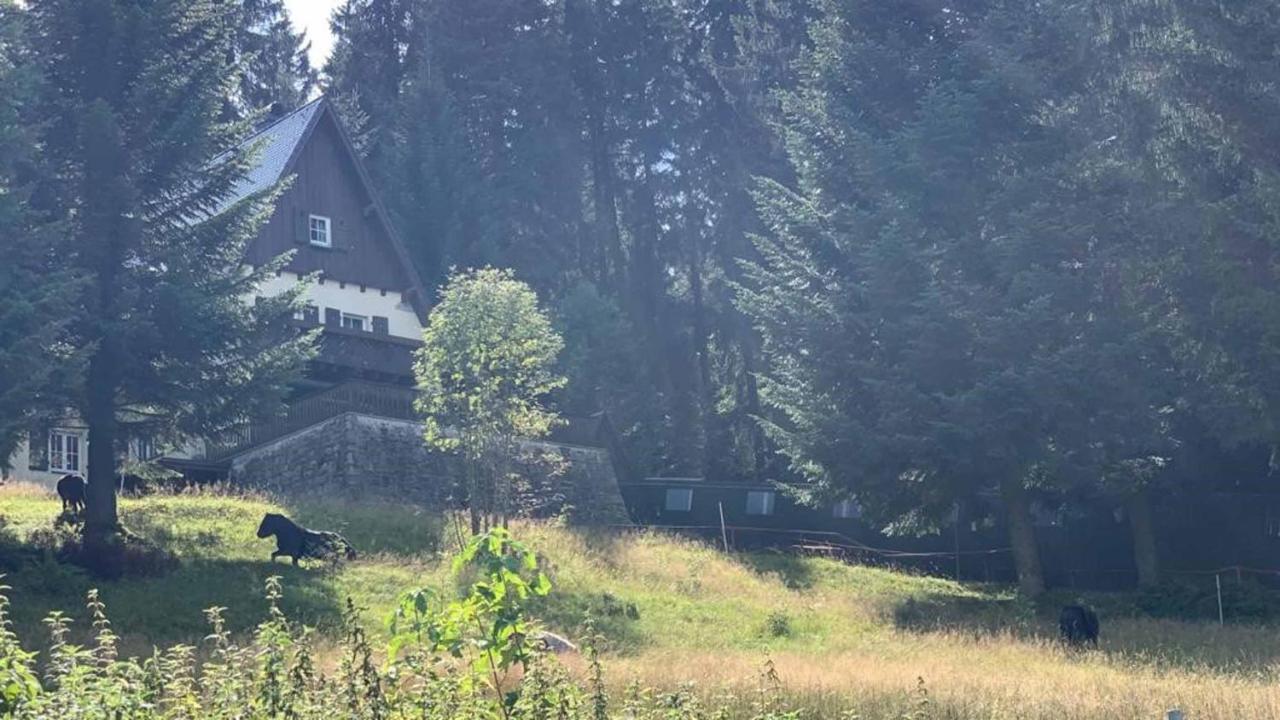 Berghaus Carlsfeld Villa Айбенщок Екстериор снимка